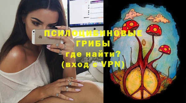 mdpv Мегион