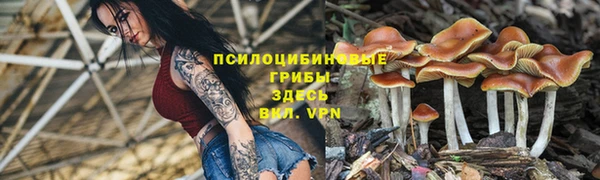 MDMA Premium VHQ Медногорск