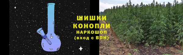 гидропоника Богородск