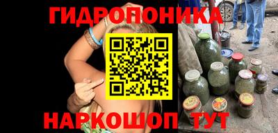 скорость Гай
