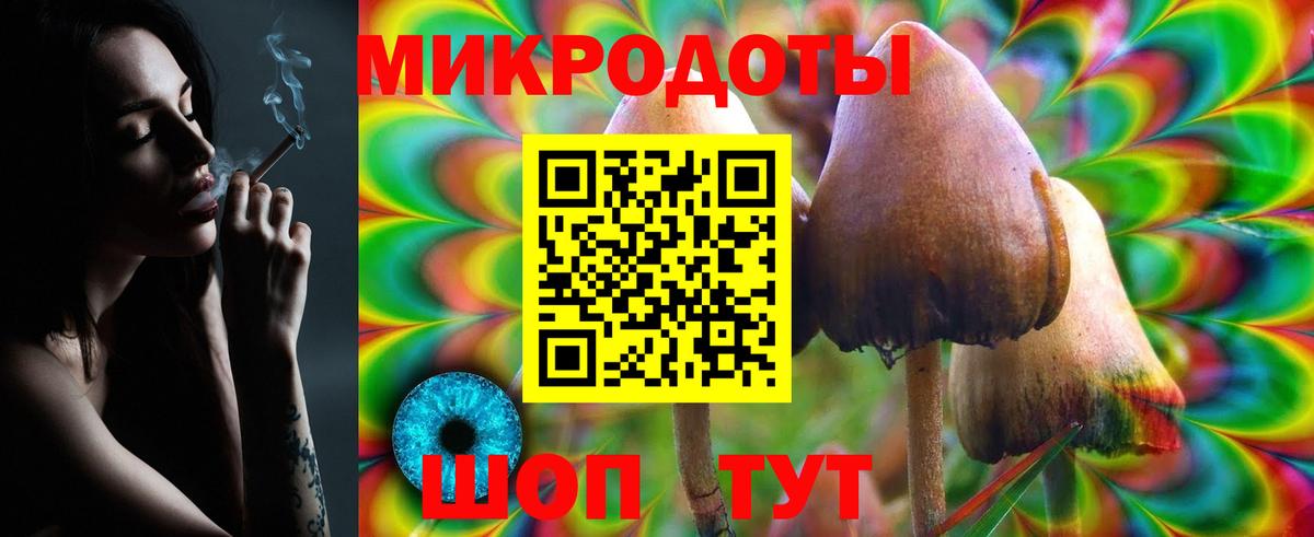 Псилоцибиновые грибы Cubensis  Вход с VPN  где купить наркоту  Нальчик 